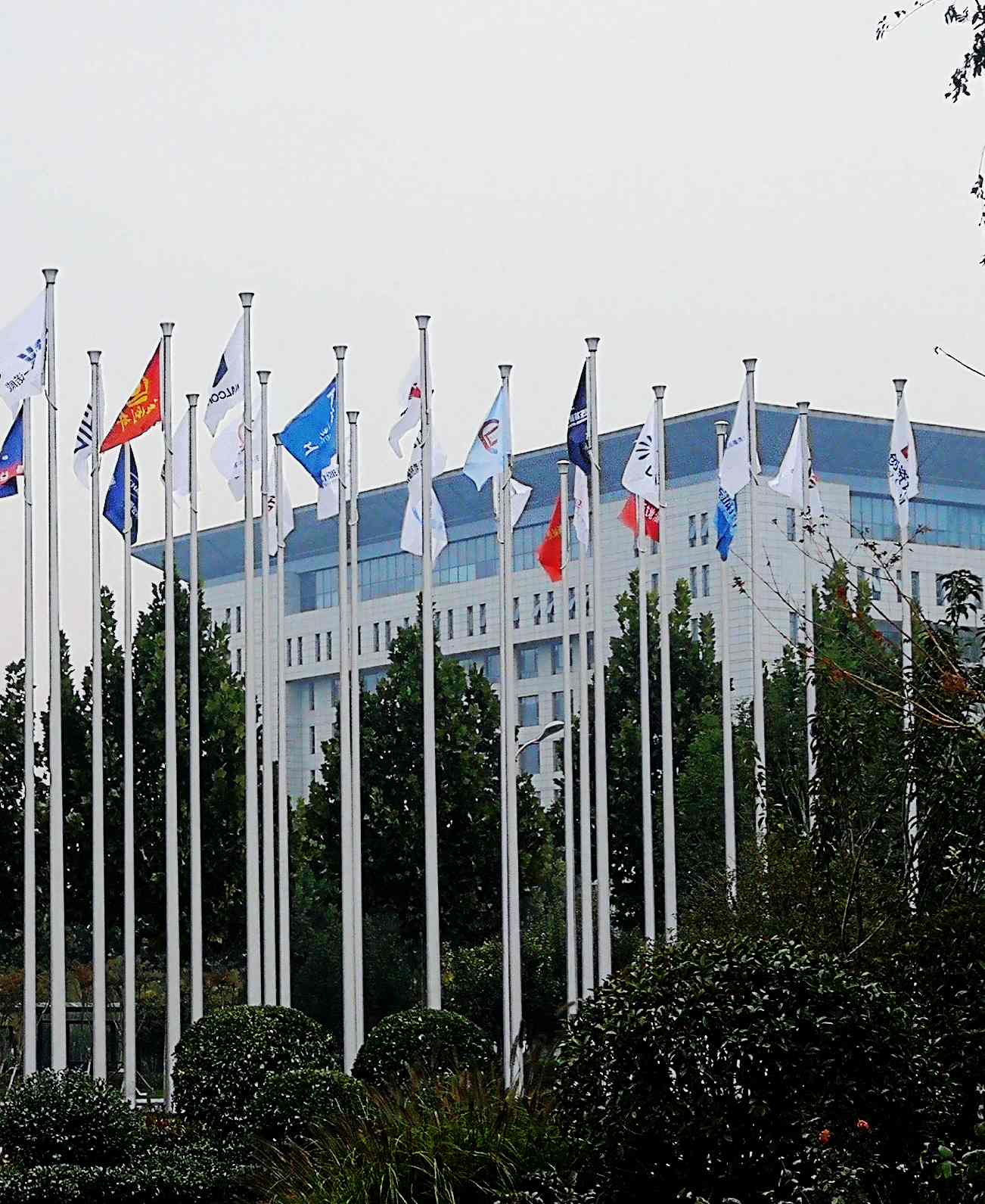 鳳凰涅槃，榮耀淄博